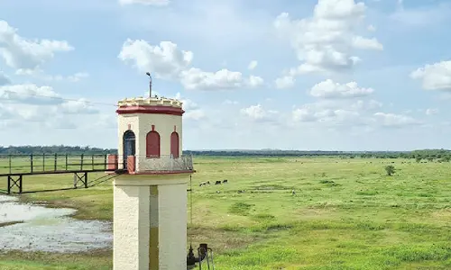 Eshwar Khandre calls for protection of Hesaraghatta natural grassland