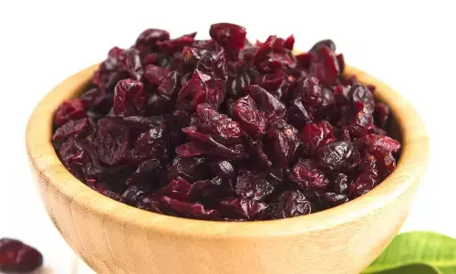 Cranberries and UTI Prevention: Nature’s Quiet Defence System