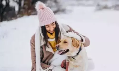 Winter Getaways With Dogs: A Practical Guide For Stress-Free Travel