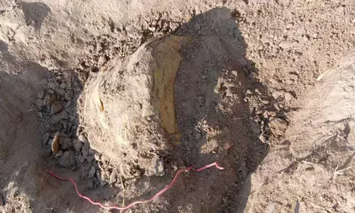 Security forces neutralise 10-kg IED planted by Maoists in Chhattisgarh