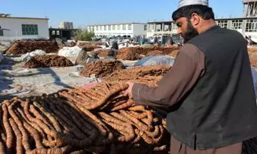 Afghanistan: Nangarhar unaffected due to closure of Torkham crossing with Pakistan