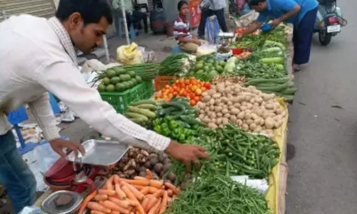 Saurashtra–Kutch records 1.5 lakh tonnes of okra production in 2024–25; horticulture sector gets boost ahead of VGRC 2026