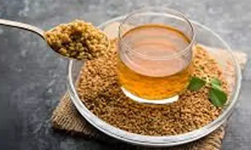 Natural Hair Growth Boost: How Methi Water Can Strengthen Your Hair Natural Hair Growth Boost: How Methi Water Can Strengthen Your Hair