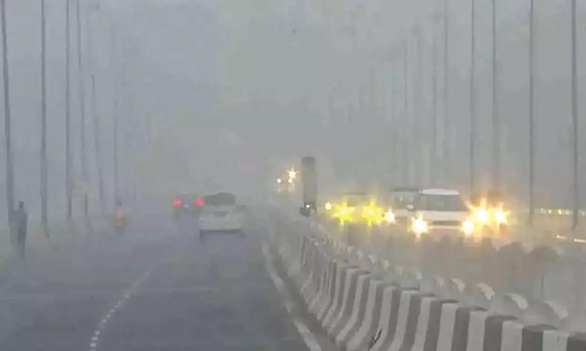 Delhi govt forms panel to tackle hazardous air Delhi govt forms panel to tackle hazardous air