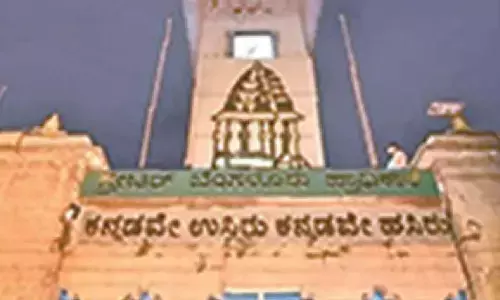 BWSSB seeks permission to cut over 600 trees for STP projects