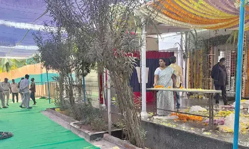 Grand arrangements for devotees at TTD temple