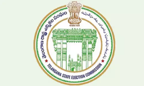 SEC begins prepoll exercise for municipalities and corporations