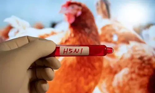 Japan confirms seasons 1st bird flu outbreak in greater Tokyo area