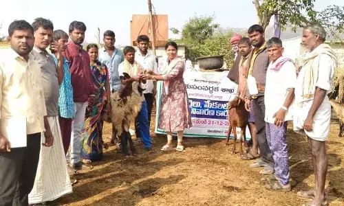 6,930 Sheep and 684 Goats Administered Deworming Medicines - Veterinary Officer Dr. Kalpana