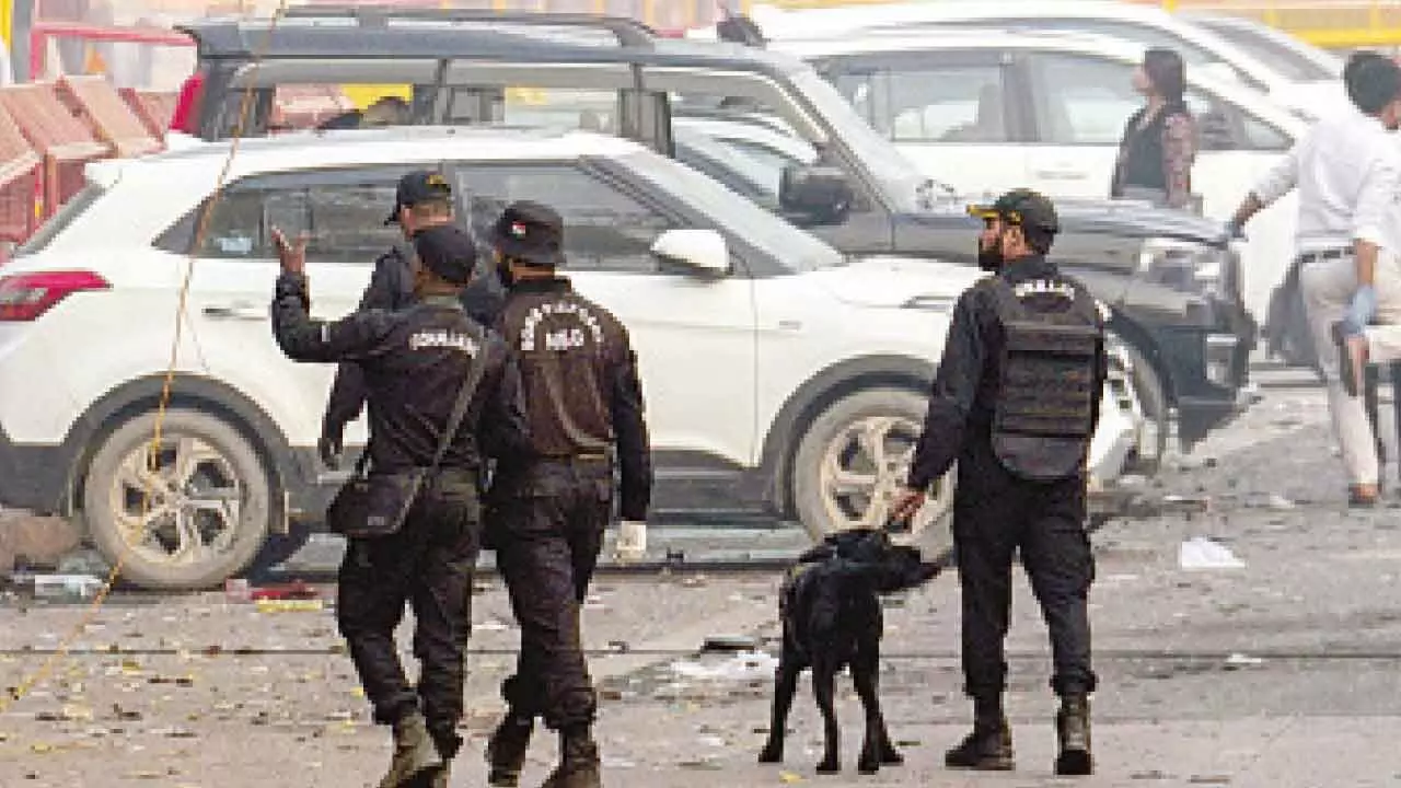 Delhi 2025: Year of Crime - Red Fort blast, station stampede; street crimes on the rise Delhi 2025: Year of Crime - Red Fort blast, station stampede; street crimes on the rise