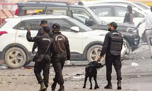 Delhi 2025: Year of Crime - Red Fort blast, station stampede; street crimes on the rise