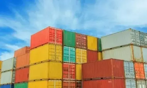 New market access support intervention to empower Indian exporters: Govt