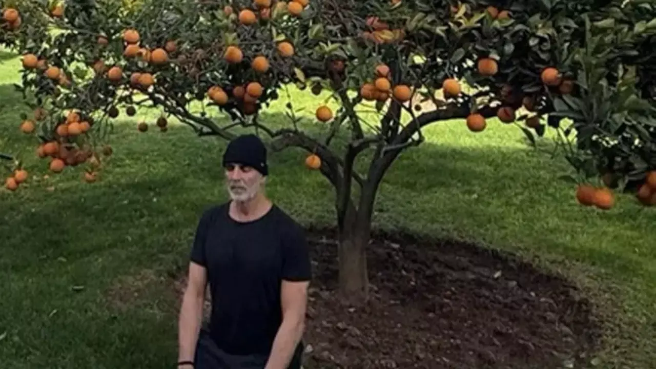Akshay Kumar sits under an orange tree, reflects on growth