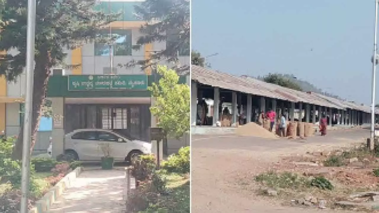 Cold storage facility coming up at Bandipalya APMC Cold storage facility coming up at Bandipalya APMC