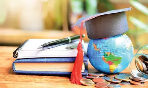 OPT tips for career transition and job opportunities