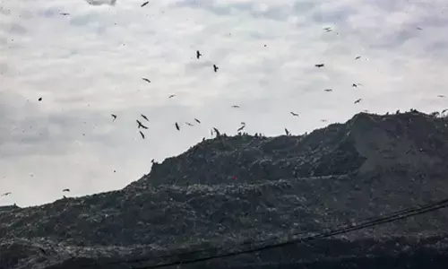 Delhi processes only 64 pc of daily waste, rest dumped at Bhalswa, Ghazipur landfills: CPCB tells NGT Delhi processes only 64 pc of daily waste, rest dumped at Bhalswa, Ghazipur landfills: CPCB tells NGT