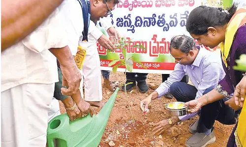 Tree plantation drive held to conserve environment