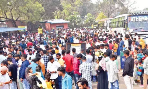 Zoo rings in New Year with 25,900 visitors