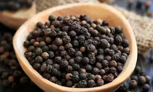 Why Black Pepper Is a Winter Essential for Health and Warmth