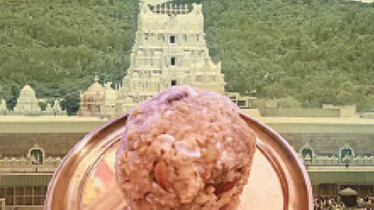 Tirupati laddu scam: HC refuses interim relief to ex-chairman of Board Tirupati laddu scam: HC refuses interim relief to ex-chairman of Board
