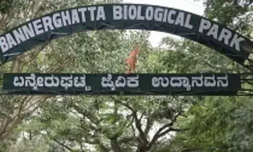 SC- appointed CEC member visits Bannerghatta National Park