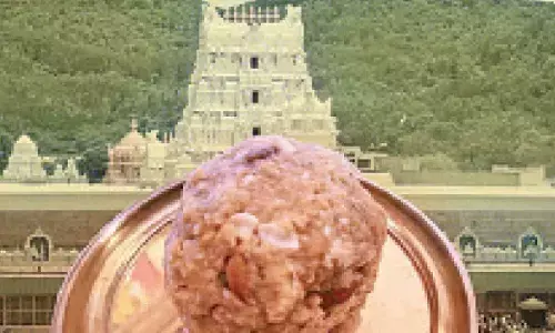 Tirupati laddu scam: HC refuses interim relief  to ex-chairman of Board