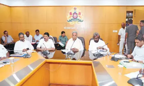 Experts to study impact of safari vehicles on wildlife Experts to study impact of safari vehicles on wildlife