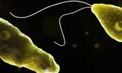 Study warns of growing global threat of brain-eating amoebae in water, environment Study warns of growing global threat of brain-eating amoebae in water, environment