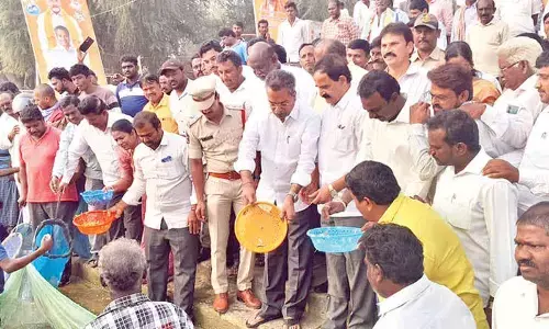 7.5 lakh fish fingerlings released into Krishna river 7.5 lakh fish fingerlings released into Krishna river