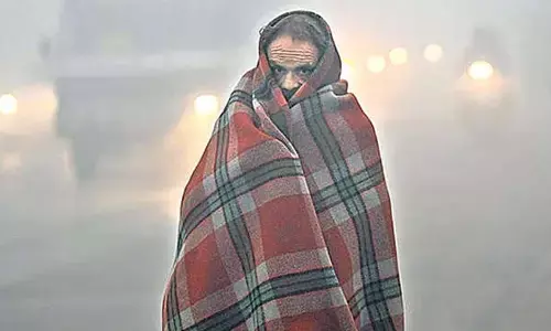 Intense cold prevails in Punjab, Haryana Intense cold prevails in Punjab, Haryana