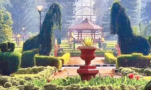 State to develop 65-acre treepark at Baiyappanahalli State to develop 65-acre treepark at Baiyappanahalli