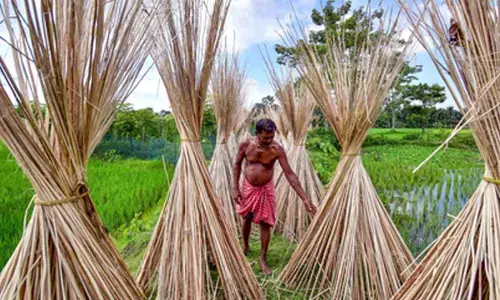 Bangladesh’s jute industry losing global edge due to high costs, outdated technology: BJSA chairman