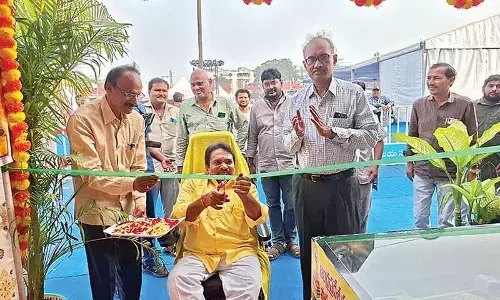 Public Libraries stall opened at Book Fete