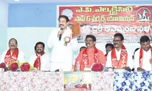 Stop privatisation of power sector: CPI