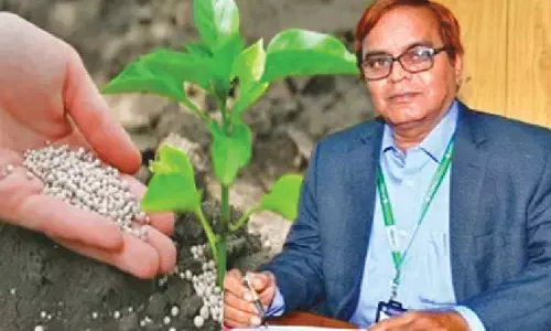 Excessive urea use poses health risks in Telangana