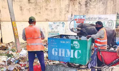 City dwellers raise a stink over garbage dumping on roadside