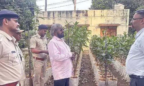 70% of deemed forest joint survey completed