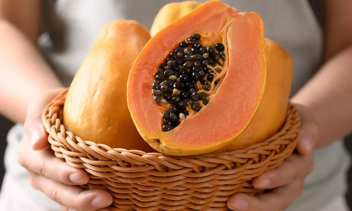 One Plate of Papaya a Day: Simple Habit, Big Health Benefits One Plate of Papaya a Day: Simple Habit, Big Health Benefits