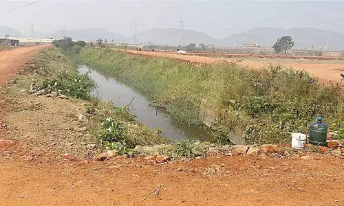 Encroachment on GPLIS canal bund sparks concern