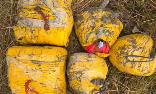 20 kg heroin seized in Punjab; four arrested