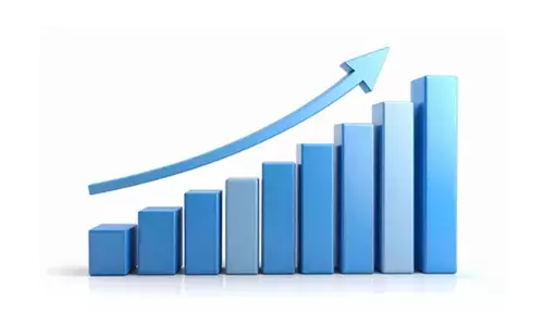 Indias service sector growth remains ‘strong’, HSBC PMI at 58: Report