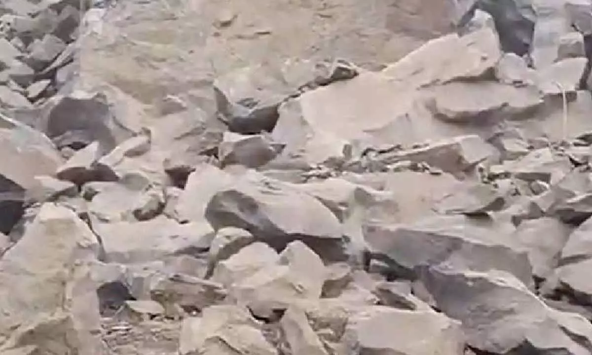 Supervisor held in stone quarry blast case Supervisor held in stone quarry blast case