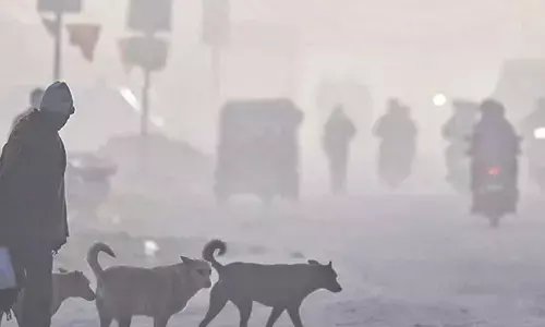 Mercury below 10 in most parts of Raj; winter vacation extended