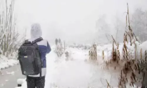 Fresh snowfall covers higher reaches of J-K’s Bhaderwah, delights tourists