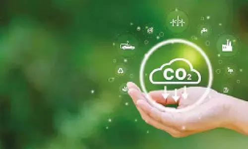 IIT-G develops sunlight-driven catalyst to convert CO2 into methanol fuel