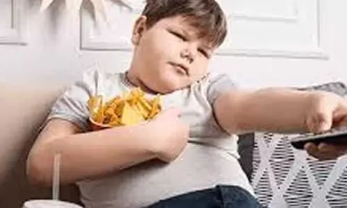 Tips to help children maintain a healthy weight