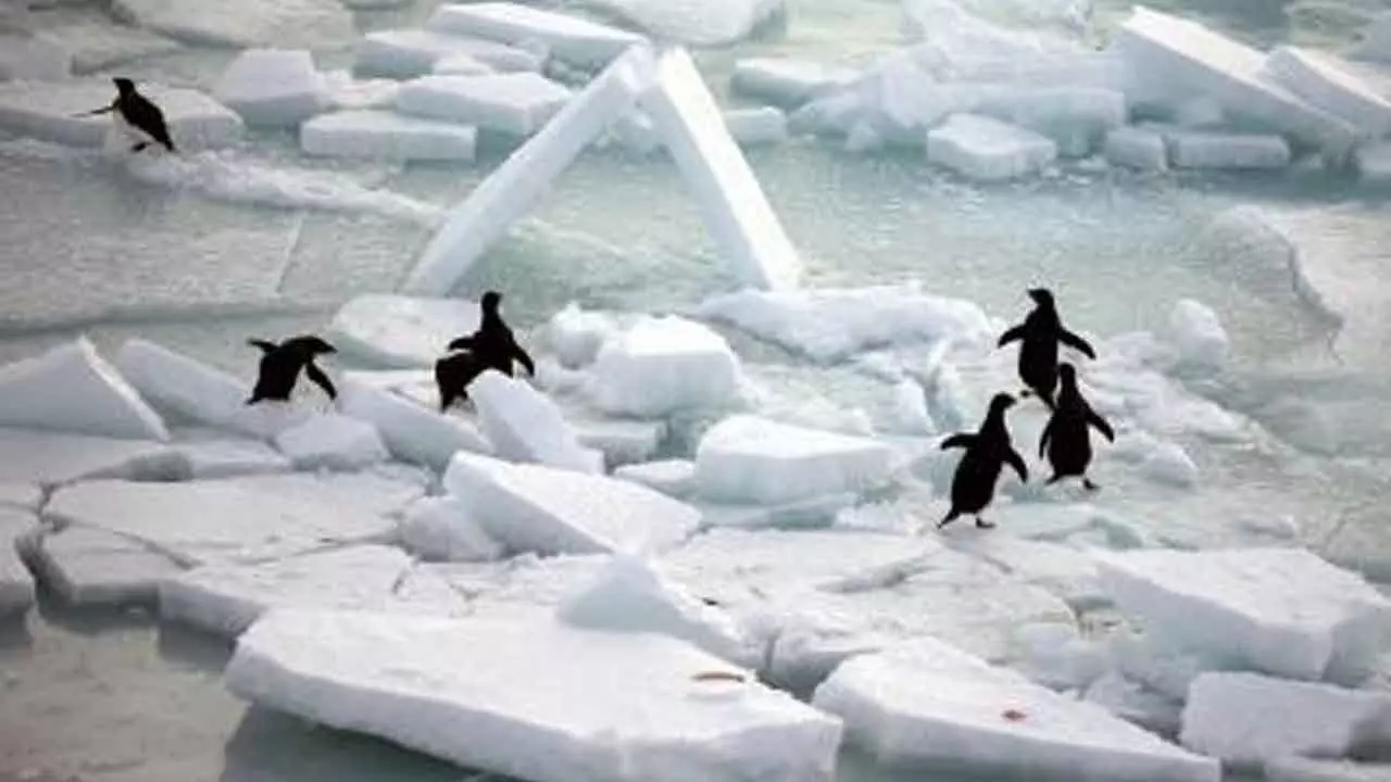 Worlds oceans set new heat record in 2025: Study Worlds oceans set new heat record in 2025: Study