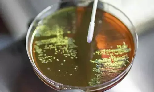 Antibiotic use during pregnancy may raise risk of bacterial disease in babies