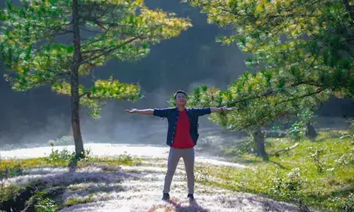 Study shows how exposure to natural daylight can help diabetics