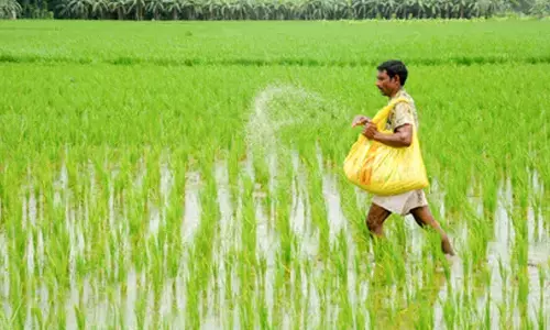 Govts Atmanirbhar drive bolsters fertiliser security with record domestic production
